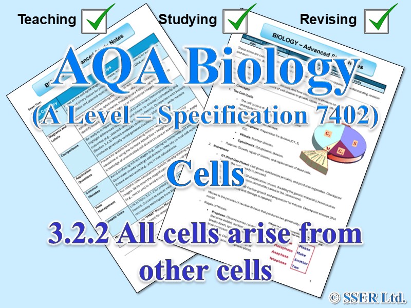 BIOA_AQA Topic Notes: 3.2.2 All cells arise from other cells
