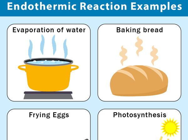 iGCSE Chemistry - 5.1 Exothermic and Endothermic reactions