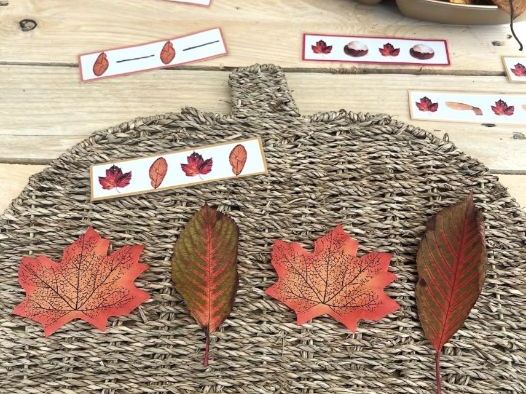 Autumn pattern cards