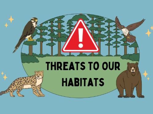 Habitat Preservation Worksheet – Threats to Our Habitats | KS3 Geography Reading & Comprehension