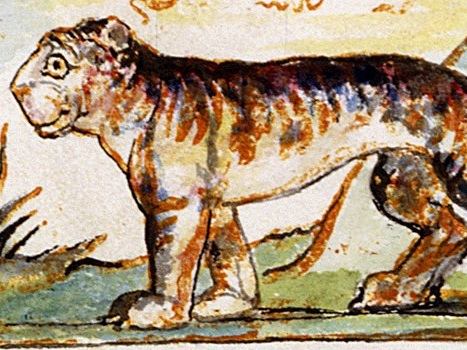 Blake's Tyger - Poetry resource sheet