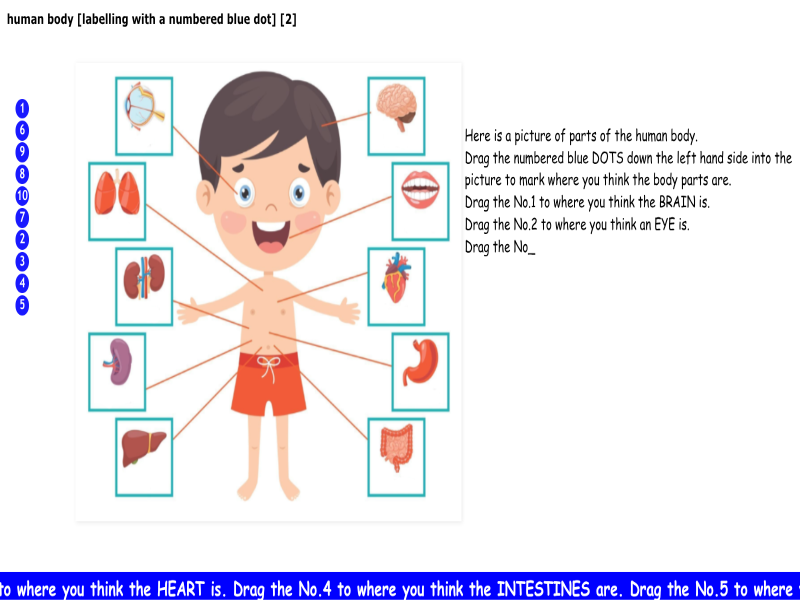 human body parts [labelling with a numbered blue dot] [2]