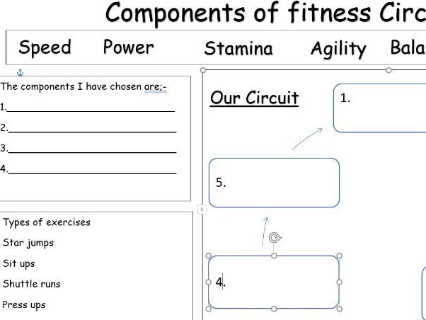 Component of Fitness Circuit Worksheet