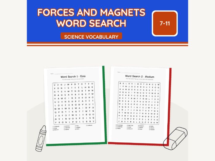 Forces and Magnets Word Search KS2 | 7 Sheets