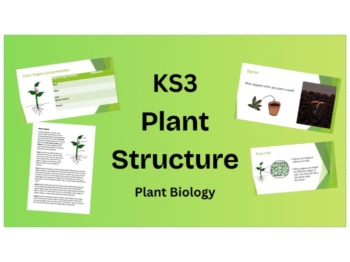 KS3 Plant Structure PPT and comprehension
