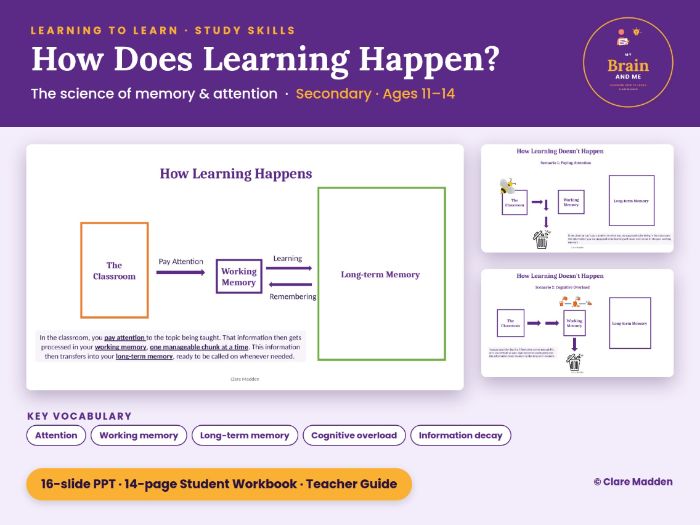 How Does Learning Happen? Study Skills Unit