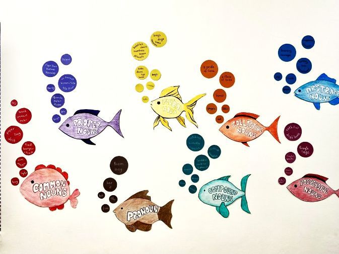 Types of Nouns Display