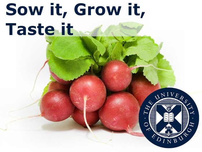 Sow it, Grow it, Taste it (Interdisciplinary Learning)