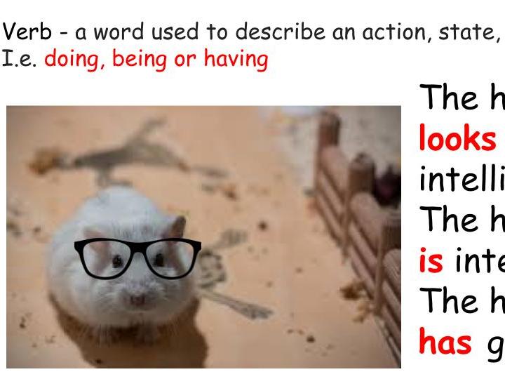 Year 1 Common Exception Words Taught As Vocabulary Teaching Resources