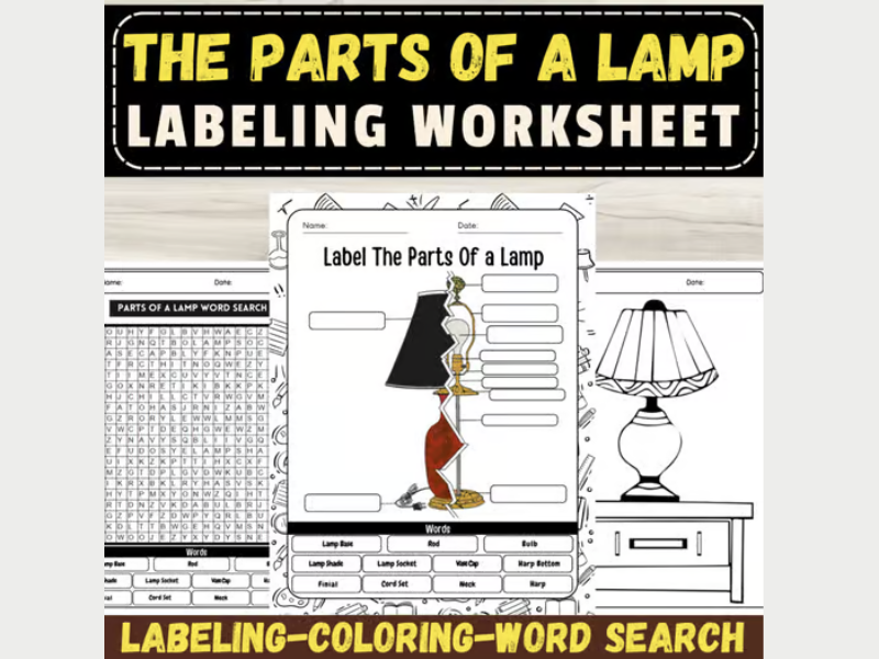 Label The Parts Of a Lamp Anatomy: Back To School Labeling Worksheets Activities