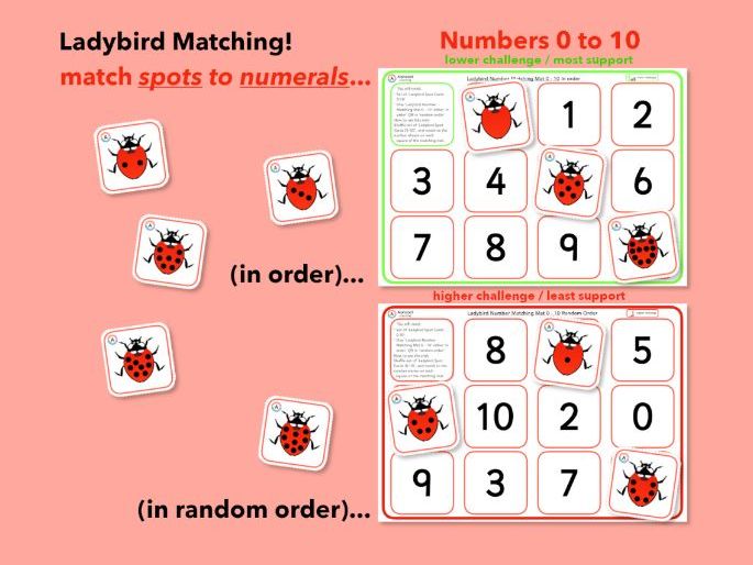 Ladybirds! Counting Spots and matching Numerals 0-10