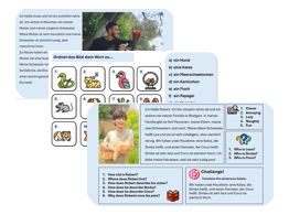 Pets (German) - Complete Unit with Assessment & Mark Scheme (also suitable for cover lessons)
