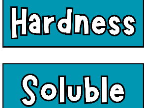 Science Materials Display Vocabulary