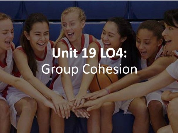 Cambridge Technicals Unit 19 LO4 Group Cohesion