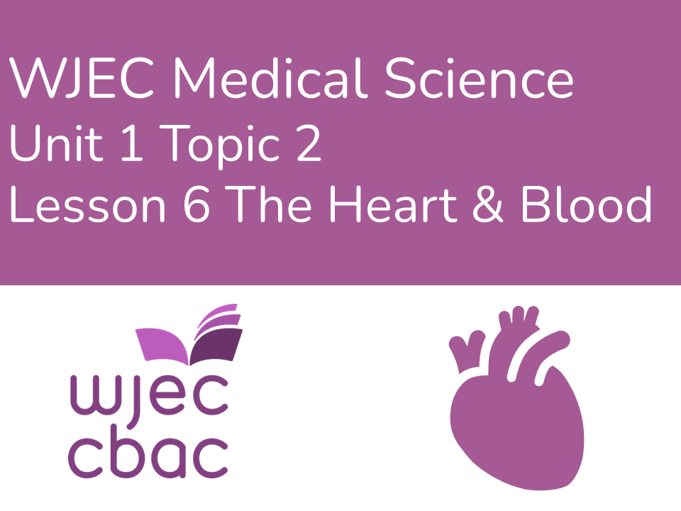 WJEC AAQ Medical Science 1.2 The Heart & Blood