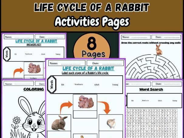 "Life Cycle of a Rabbit | Labeling, Coloring, Word Search & Activities"