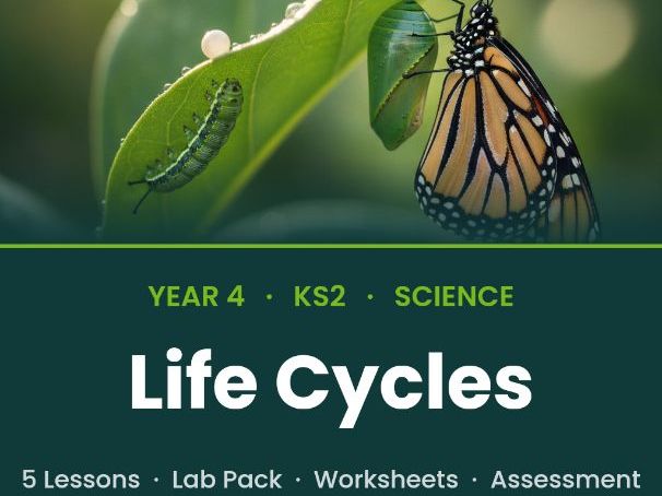 Y5 Science: Life Cycles of Plants & Animals | Full Unit