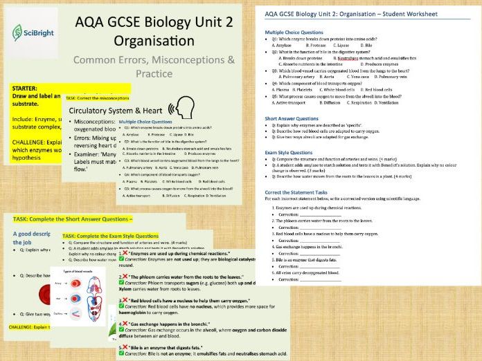 GCSE Biology Organisation Revision - Common Misconceptions & Practice