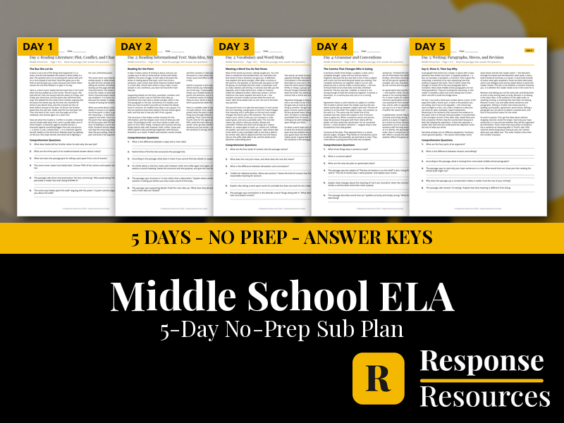 Middle School ELA Emergency Sub Plans - 5 Days No Prep Print and Go English