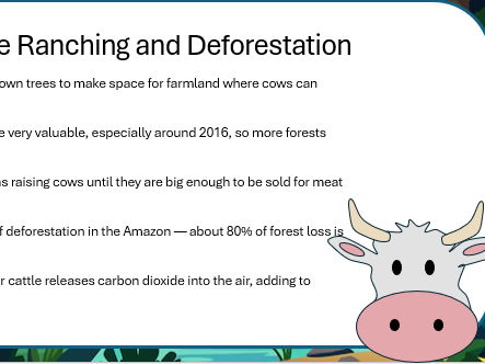 Y4 Geography - Rainforest - Lesson 5 understand why deforestation occurs and what can be done a