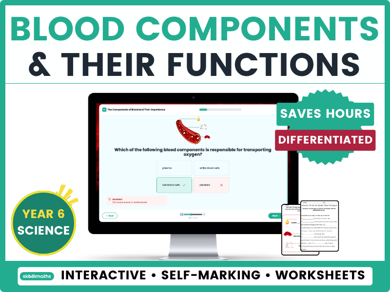 Year 6 Blood Components & Functions | Interactive Science Lesson