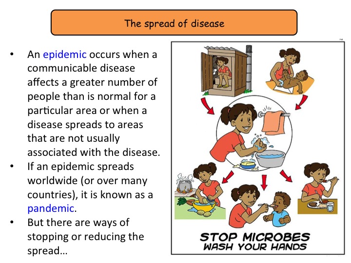 5.5 Preventing Infections NEW GCSE Biology specification