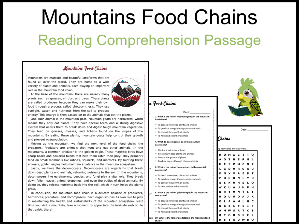 Mountains Food Chains Reading Comprehension and Word Search Teaching