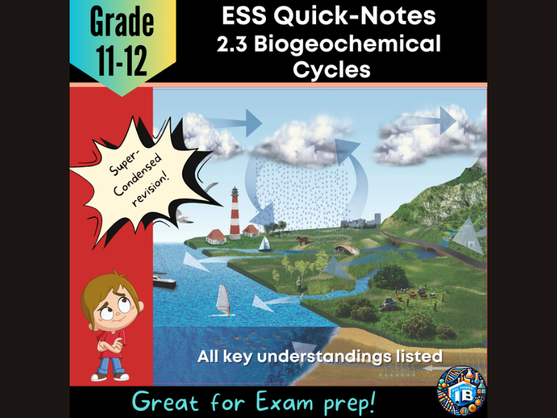 IB DP ESS 2.3: Biogeochemical Cycles Condensed Revision Outline 2026