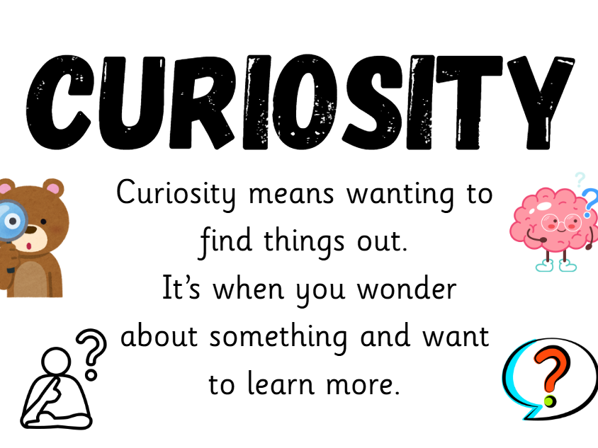 Curiosity - working wall poster for KS1