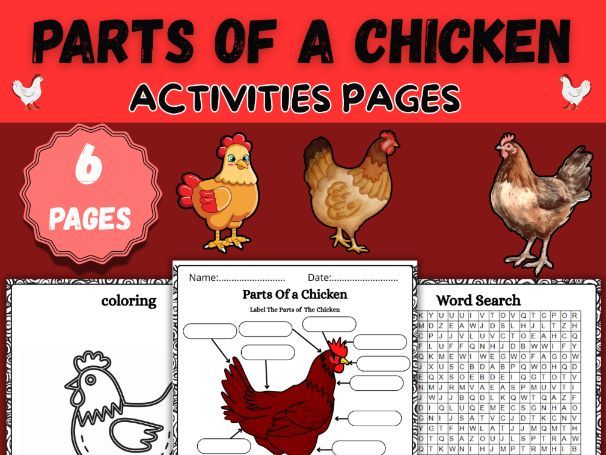 Parts of a Chicken Worksheets|Word Search