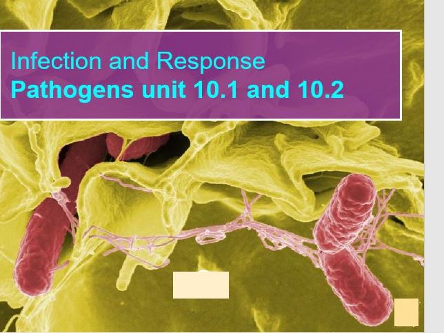 Pathogens [Infections & Response] Biology