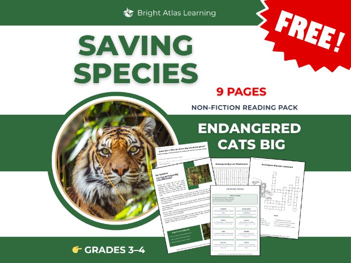 Endangered Big Cats Free Reading Comprehension | Years 4–5 KS2