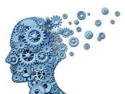 Edexcel International A Level Psychology - Cognitive unit