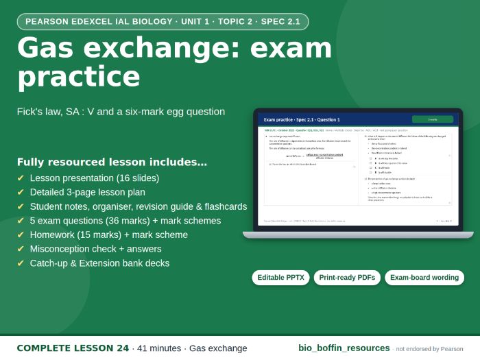 IAL Biology Edexcel – Gas Exchange Practice