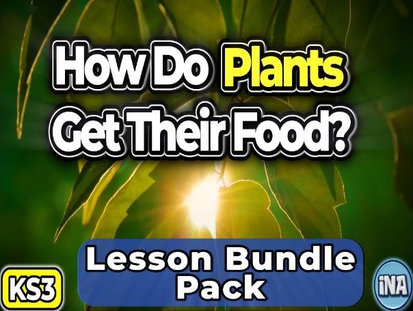 Plant Nutrition - Complete KS3 Biology Lesson Pack