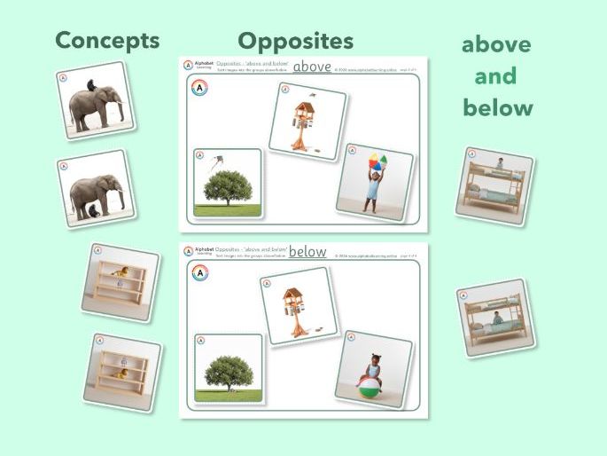 Exploring concepts Opposites Above and Below
