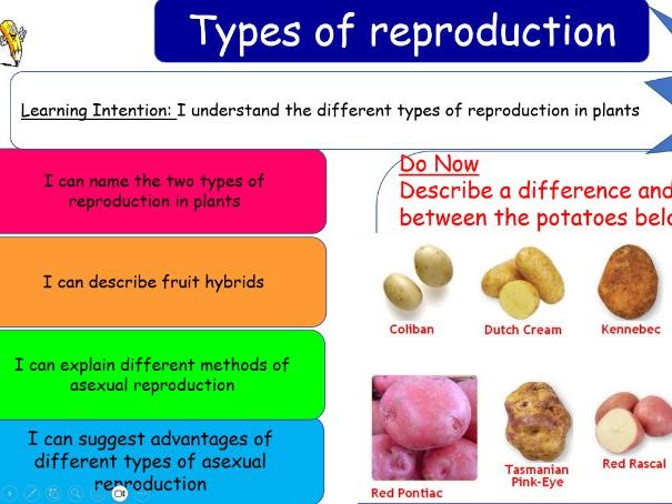 Types of Reproduction