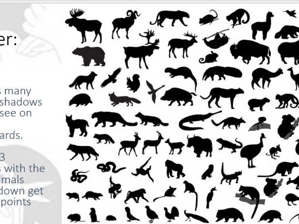 Plan and make a shadow puppet lesson