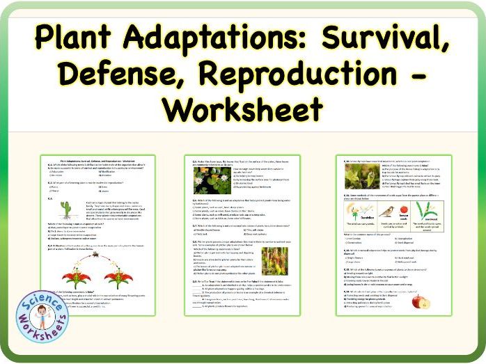 Plant Adaptations: Survival, Defense, Reproduction - Worksheet (KS3 Biology, Science)