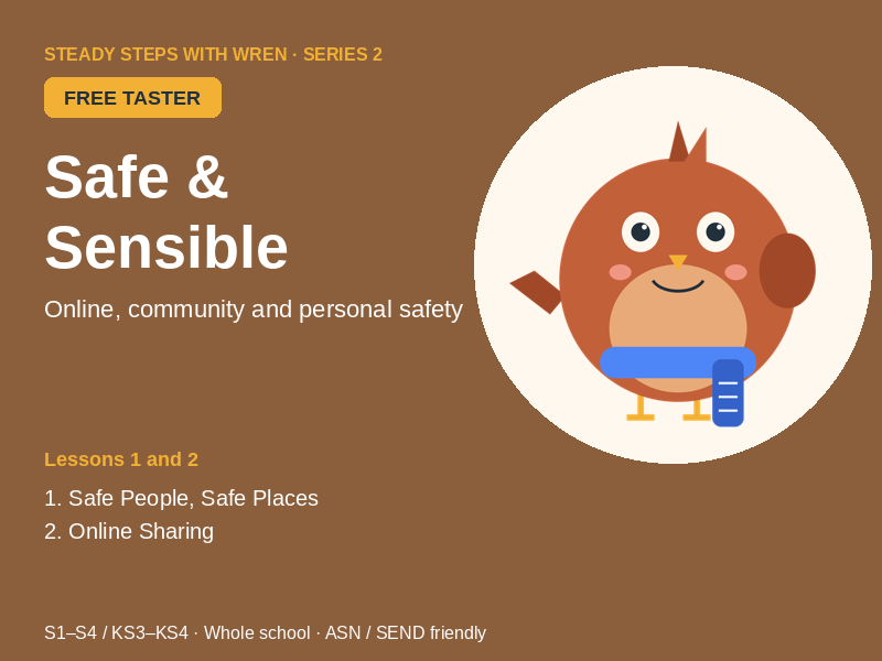 FREE Safe & Sensible Starter Lessons: Secondary