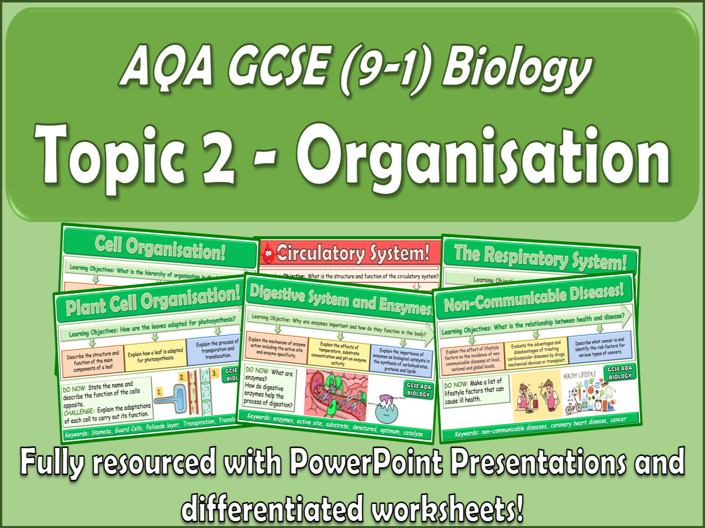 AQA GCSE (9-1) Biology Topic 2 Organisation | Teaching Resources