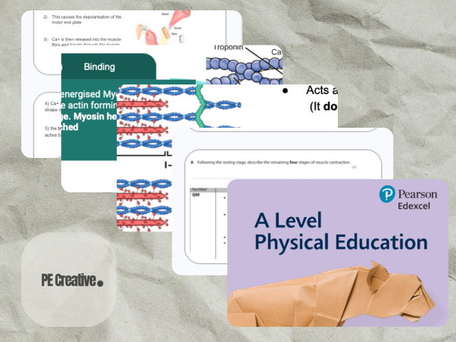 Edexcel A Level PE Sliding Filament Theory Powerpoint
