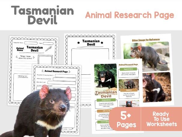 Tasmanian Devil Fact File | Marsupials and Habitats Science Activities