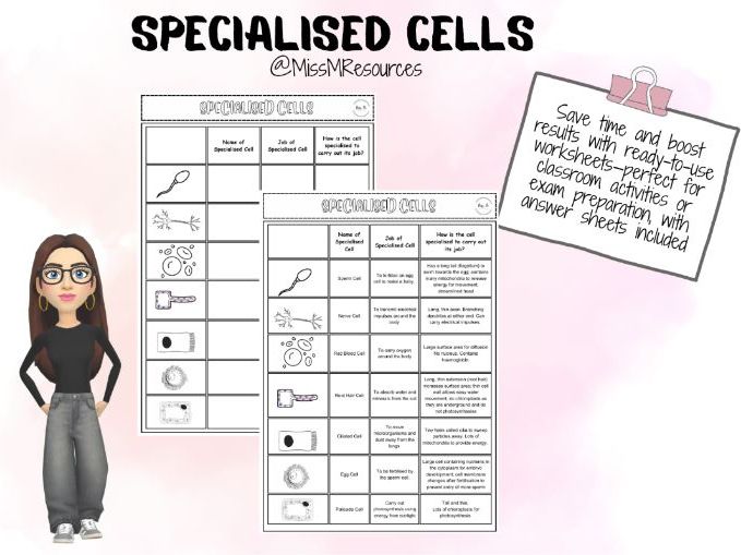 Specialised Cells Worksheet KS3/KS4
