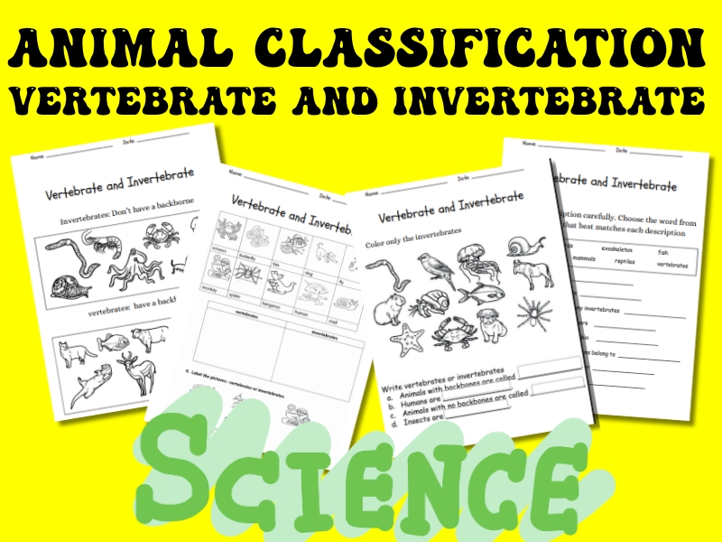 Animal Classification Vertebrates and Invertebrates | Science Worksheet