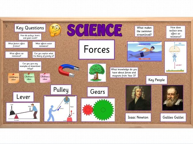 Forces Year 5 KS2 Science Display