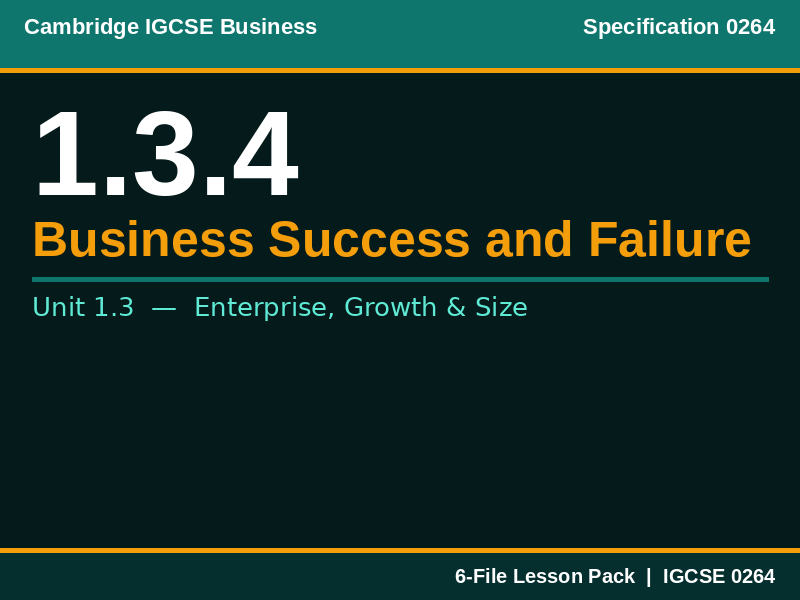 IGCSE Business 0264 | 1.3.4 Business Success and Failure | Lesson Pack