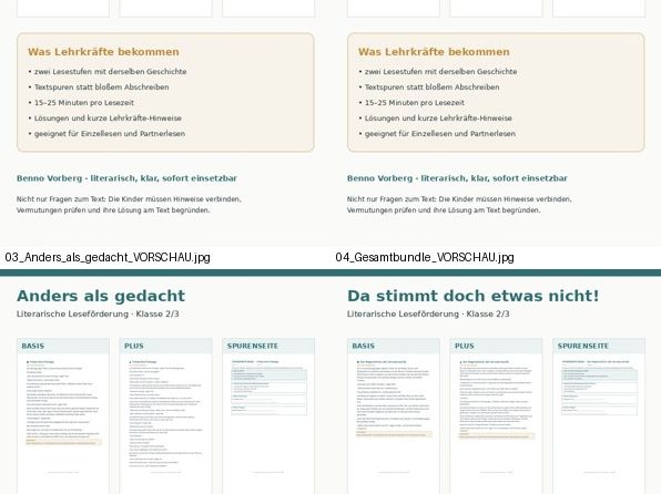 German Reading Comprehension Full | 4 Differentiated Literary Reading Stories