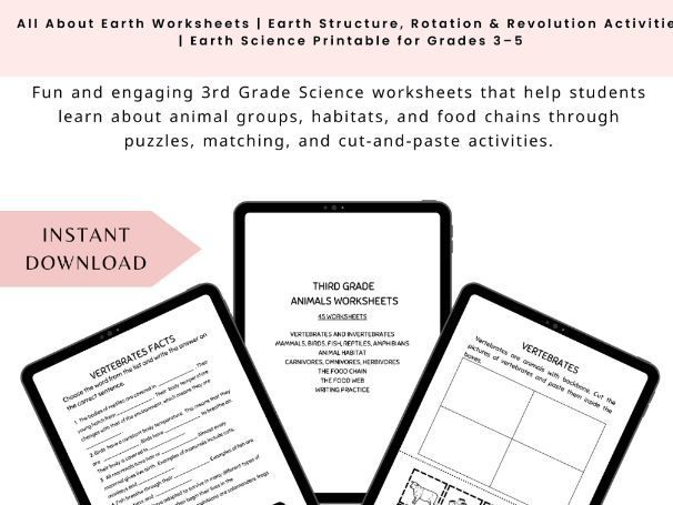 3rd Grade Animals Worksheets | Vertebrates & Invertebrates, Food Chain, Animal Habitats