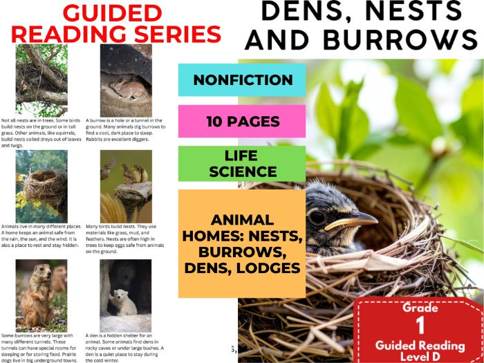 Guided Reading Level D: Dens, Nests and Burrows